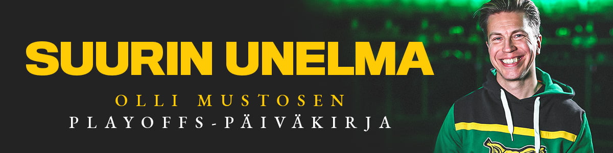 www.ilves.com